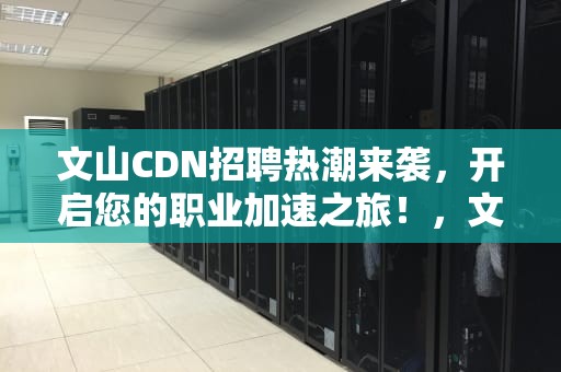 文山CDN招聘热潮来袭，开启您的职业加速之旅！，文山招工平台厂商