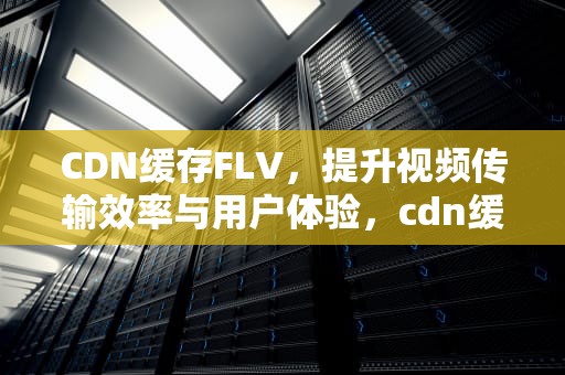 CDN缓存FLV，提升视频传输效率与用户体验，cdn缓存怎么清除