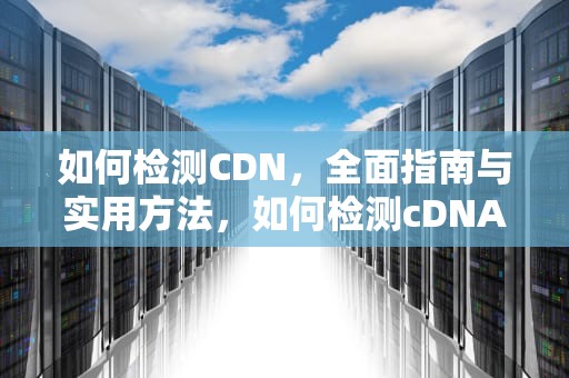 如何检测CDN，全面指南与实用方法，如何检测cDNA质量