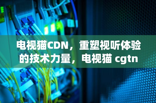 电视猫CDN，重塑视听体验的技术力量，电视猫 cgtn