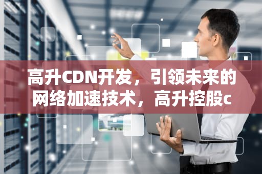 高升CDN开发，引领未来的网络加速技术，高升控股cdn