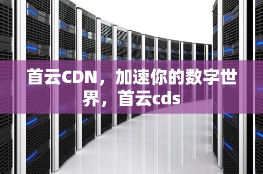 首云CDN，加速你的数字世界，首云cds