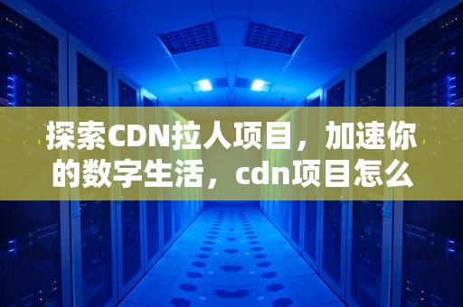 探索CDN拉人项目，加速你的数字生活，cdn项目怎么做