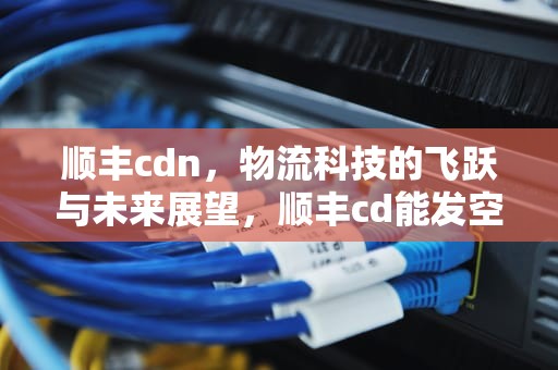 顺丰cdn，物流科技的飞跃与未来展望，顺丰cd能发空运吗