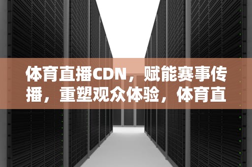 体育直播CDN，赋能赛事传播，重塑观众体验，体育直播cctv5直播在线观看