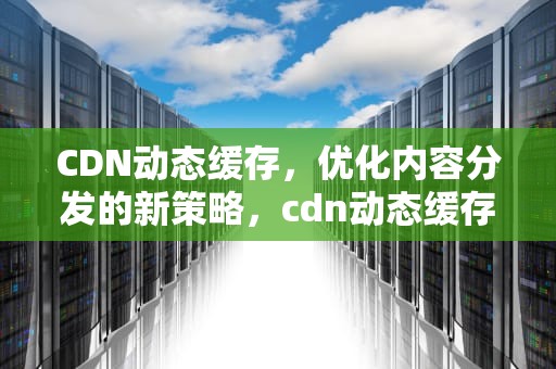 CDN动态缓存，优化内容分发的新策略，cdn动态缓存