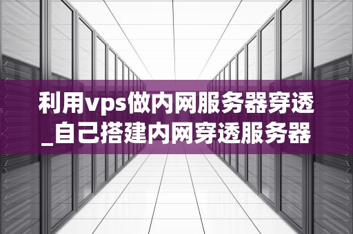 利用vps做内网服务器穿透_自己搭建内网穿透服务器全端口_利用VPS做内网服务器穿透