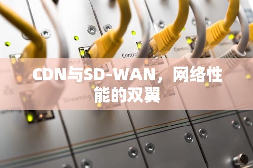 CDN与SD-WAN，网络性能的双翼