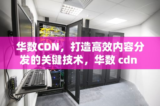 华数CDN，打造高效内容分发的关键技术，华数 cdn 流标
