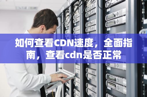 如何查看CDN速度，全面指南，查看cdn是否正常