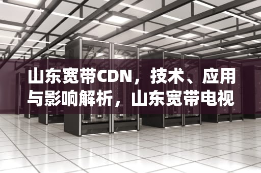 山东宽带CDN，技术、应用与影响解析，山东宽带电视app