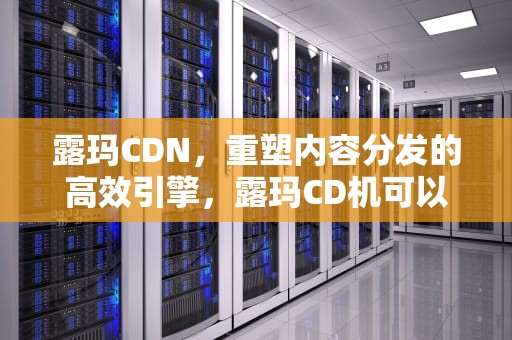 露玛CDN，重塑内容分发的高效引擎，露玛CD机可以单独使用吗