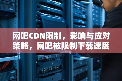 网吧CDN限制，影响与应对策略，网吧被限制下载速度