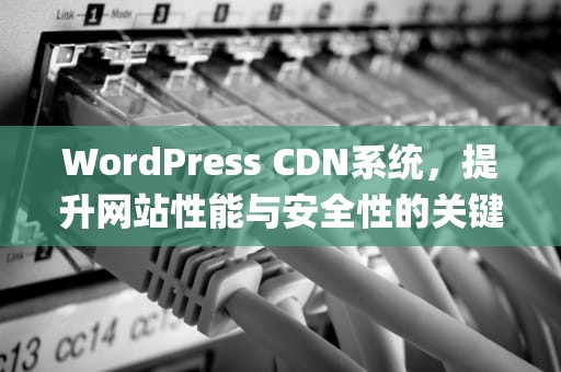 WordPress CDN系统，提升网站性能与安全性的关键，wordpress配置cdn