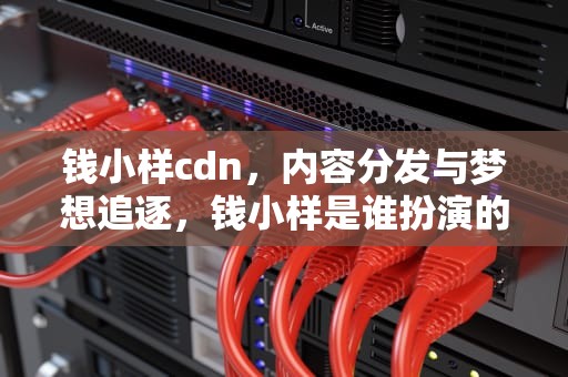 钱小样cdn，内容分发与梦想追逐，钱小样是谁扮演的