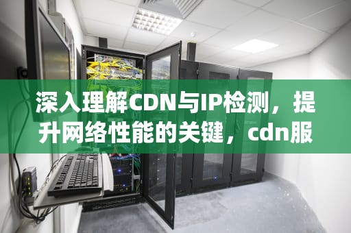 深入理解CDN与IP检测，提升网络性能的关键，cdn服务ip检测