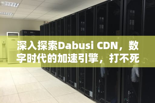 深入探索Dabusi CDN，数字时代的加速引擎，打不死cdn