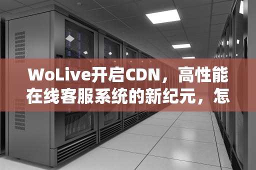 WoLive开启CDN，高性能在线客服系统的新纪元，怎么开启cdn