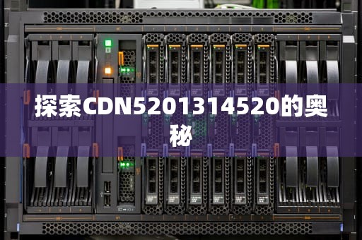 探索CDN5201314520的奥秘