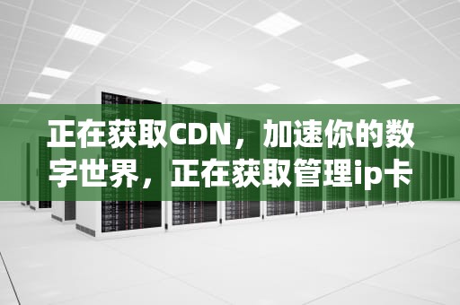 正在获取CDN，加速你的数字世界，正在获取管理ip卡在30%