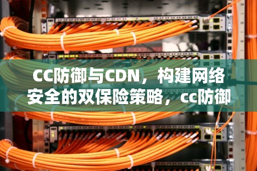 CC防御与CDN，构建网络安全的双保险策略，cc防御cdn