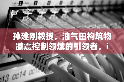 孙建刚教授，油气田构筑物减震控制领域的引领者，ibm孙建钢