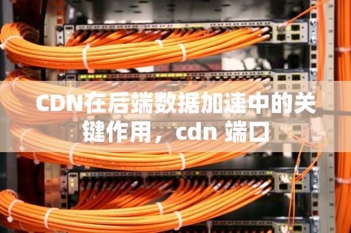 CDN在后端数据加速中的关键作用，cdn 端口
