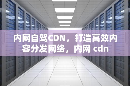 内网自驾CDN，打造高效内容分发网络，内网 cdn