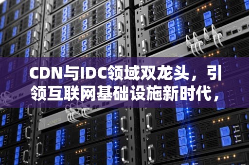 CDN与IDC领域双龙头，引领互联网基础设施新时代，cdn龙头股