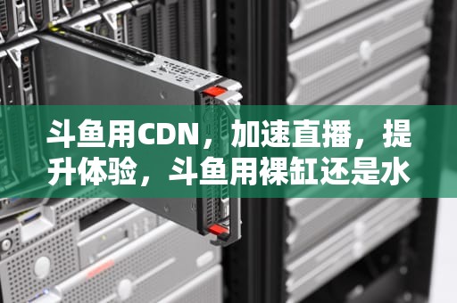 斗鱼用CDN，加速直播，提升体验，斗鱼用裸缸还是水草缸