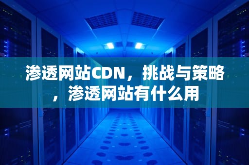 渗透网站CDN，挑战与策略，渗透网站有什么用