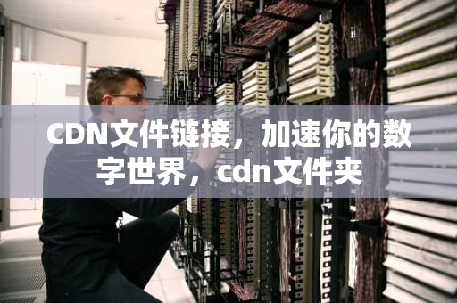 CDN文件链接，加速你的数字世界，cdn文件夹