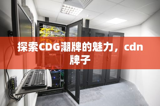 探索CDG潮牌的魅力，cdn牌子