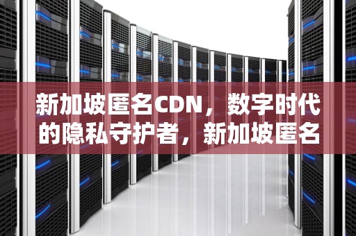 新加坡匿名CDN，数字时代的隐私守护者，新加坡匿名检查艾滋病案例