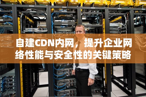 自建CDN内网，提升企业网络性能与安全性的关键策略，自建cdn教程