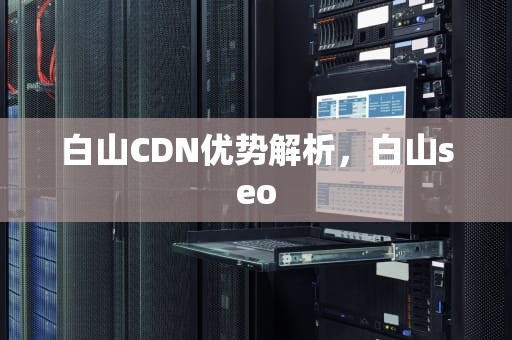 白山CDN优势解析，白山seo