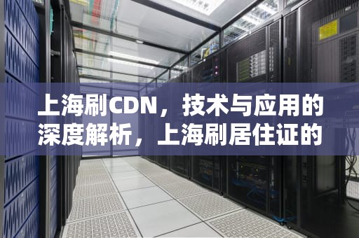 上海刷CDN，技术与应用的深度解析，上海刷居住证的地方叫什么