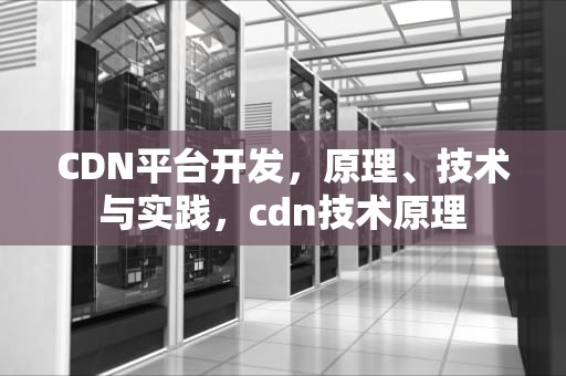CDN平台开发，原理、技术与实践，cdn技术原理