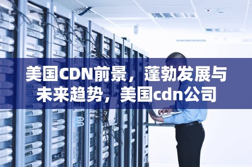 美国CDN前景，蓬勃发展与未来趋势，美国cdn公司