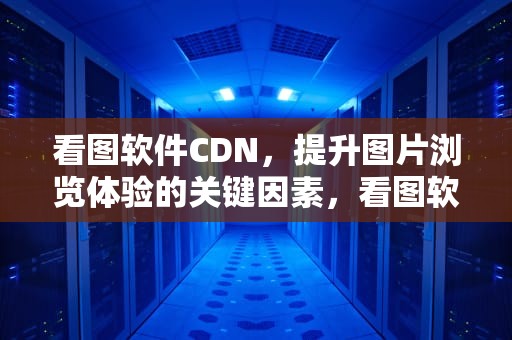 看图软件CDN，提升图片浏览体验的关键因素，看图软件cdr