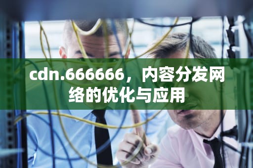cdn.666666，内容分发网络的优化与应用