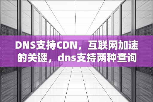 DNS支持CDN，互联网加速的关键，dns支持两种查询类型