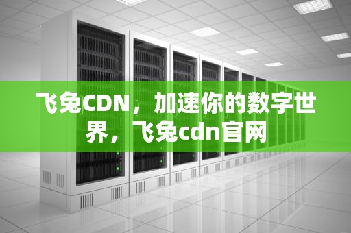 飞兔CDN，加速你的数字世界，飞兔cdn官网