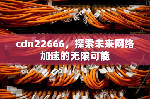 cdn22666，探索未来网络加速的无限可能