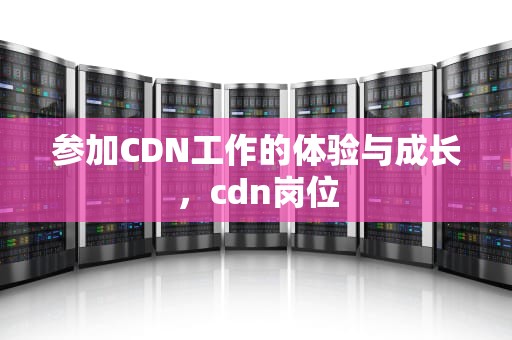 参加CDN工作的体验与成长，cdn岗位