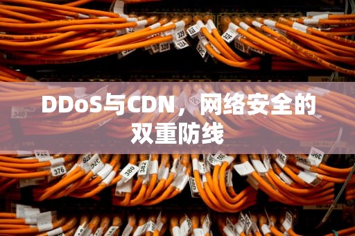 DDoS与CDN，网络安全的双重防线