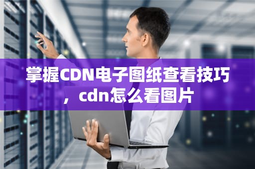 掌握CDN电子图纸查看技巧，cdn怎么看图片