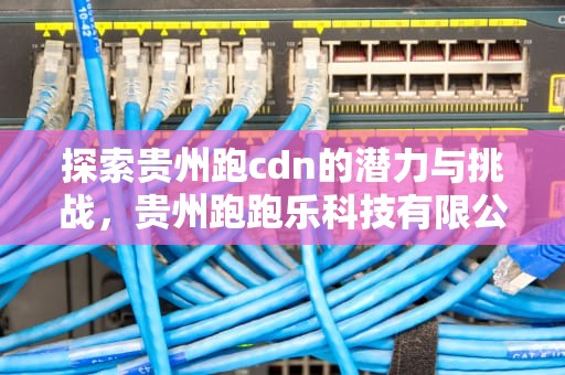 探索贵州跑cdn的潜力与挑战，贵州跑跑乐科技有限公司