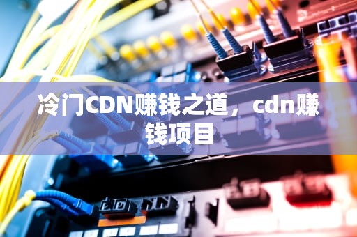 冷门CDN赚钱之道，cdn赚钱项目