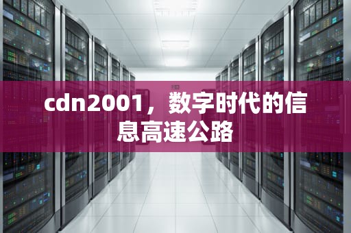 cdn2001，数字时代的信息高速公路